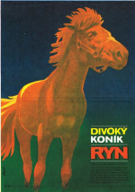 Divoký koník Ryn